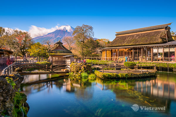 TOKYO – HỒ ASHI – OSHINO HAKKAI	(Ăn sáng, trưa, tối)